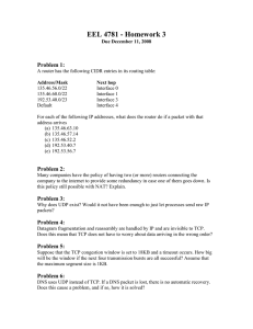 Computer Networking Homework: Routing, TCP, UDP, DNS