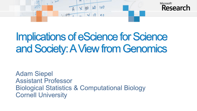Adam Siepel Assistant Professor Biological Statistics & Computational