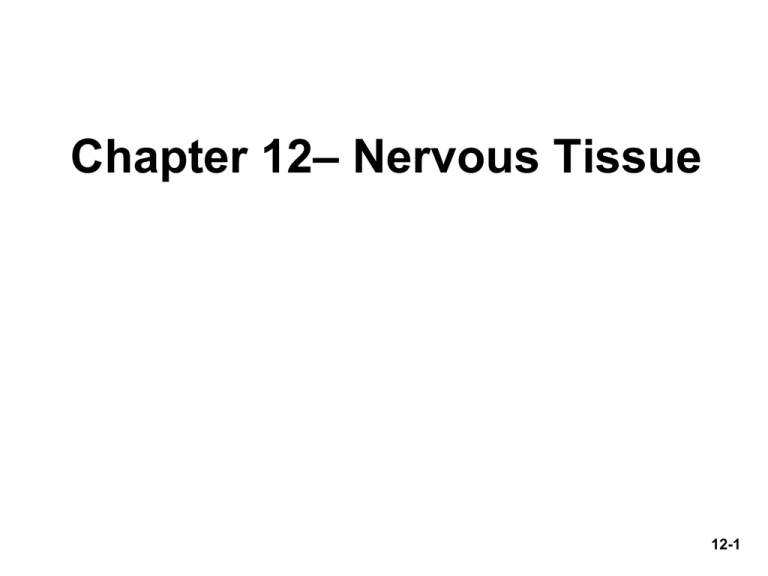 nervous-tissue-chapter-12-12-1