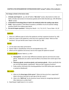 CHAPTER 6 (THE INTEGUMENTARY SYSTEM) REVIEW SHEET (using 6
