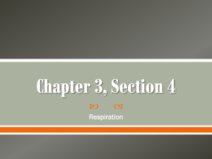   Respiration
