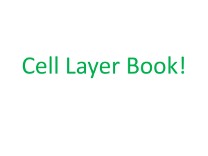Cell Layer Book!