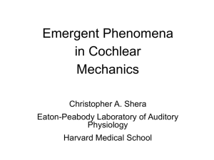 Emergent Phenomena in Cochlear Mechanics Christopher A. Shera
