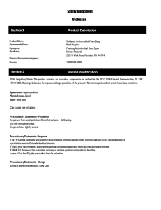 Safety Data Sheet VioNexus Section 2 Hazard Identification Section