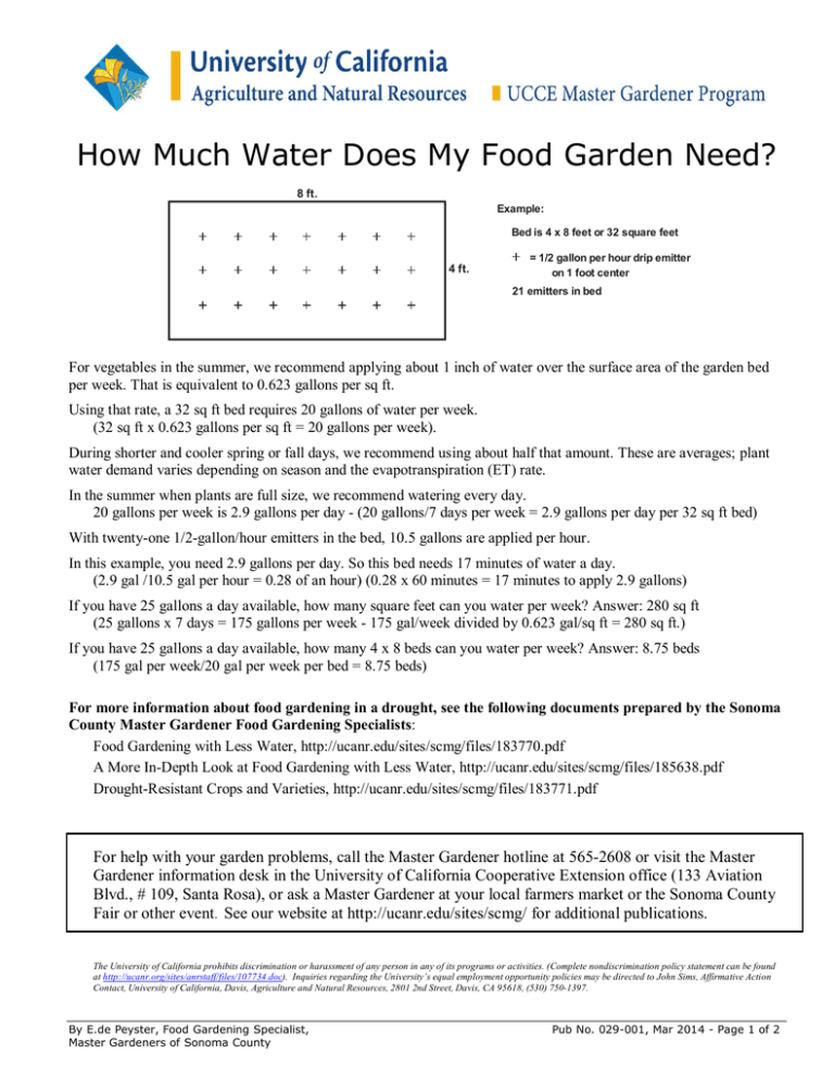How Much Water Does My Food Garden Need?
