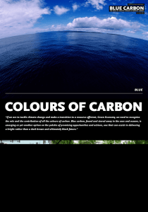 BLUE GREEN BLACK BROWN