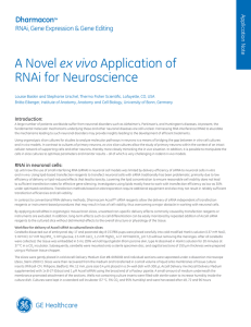 A Novel ex vivo Application of RNAi for Neuroscience