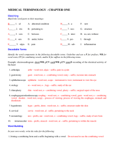 Medical Terminology: Word Parts & Building Exercises