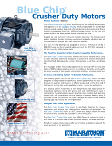 Crusher Duty Motors Brochure