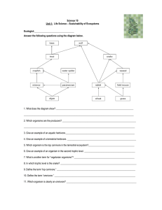 Food Web Worksheet: Ecosystem Sustainability