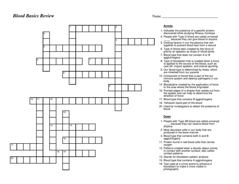 Basic Medical Key Blood Blood Basics Review Worksheet: Blood Types & Analysis