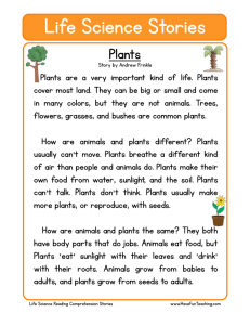Plants Reading Comprehension Worksheet for Elementary School