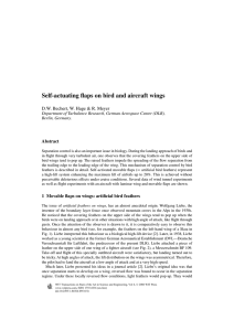 Self-actuating flaps on bird and aircraft wings
