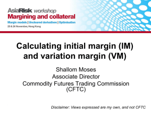 Calculating initial margin (IM) and variation margin (VM)