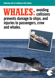 avoiding collisions prevents damage to ships, and injuries to