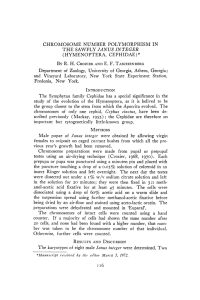 CHROMOSOME NUMBER POLYMORPHISM IN THE