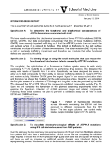 Specific Aim 1: To determine the functional and biochemical
