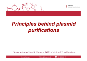 Principles behind plasmid Principles behind plasmid purifications