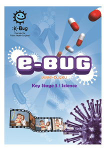 Key Stage 3 / Science - e-Bug