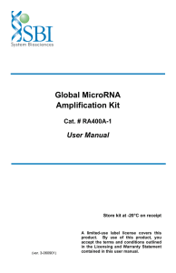 Global MicroRNA Amplification Kit