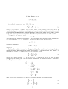 notes on Euler equations