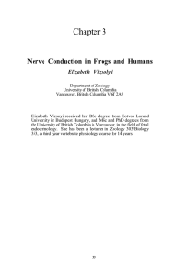 Nerve Conduction in Frogs and Humans