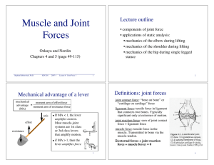 Muscle and Joint Forces