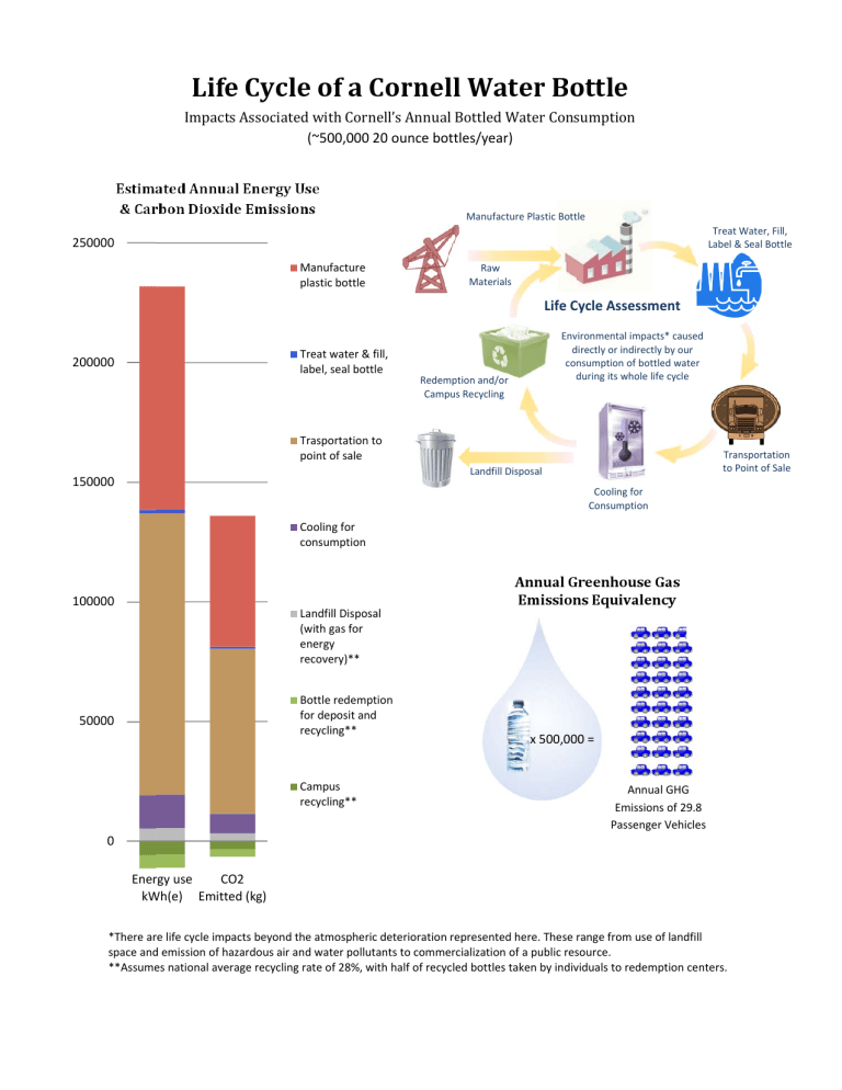 Life Cycle of a Cornell Water Bottle