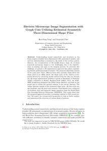 Electron microscopy image segmentation with estimated symmetric