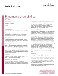Pneumonia Virus of Mice (PVM) | Charles River Research Animal