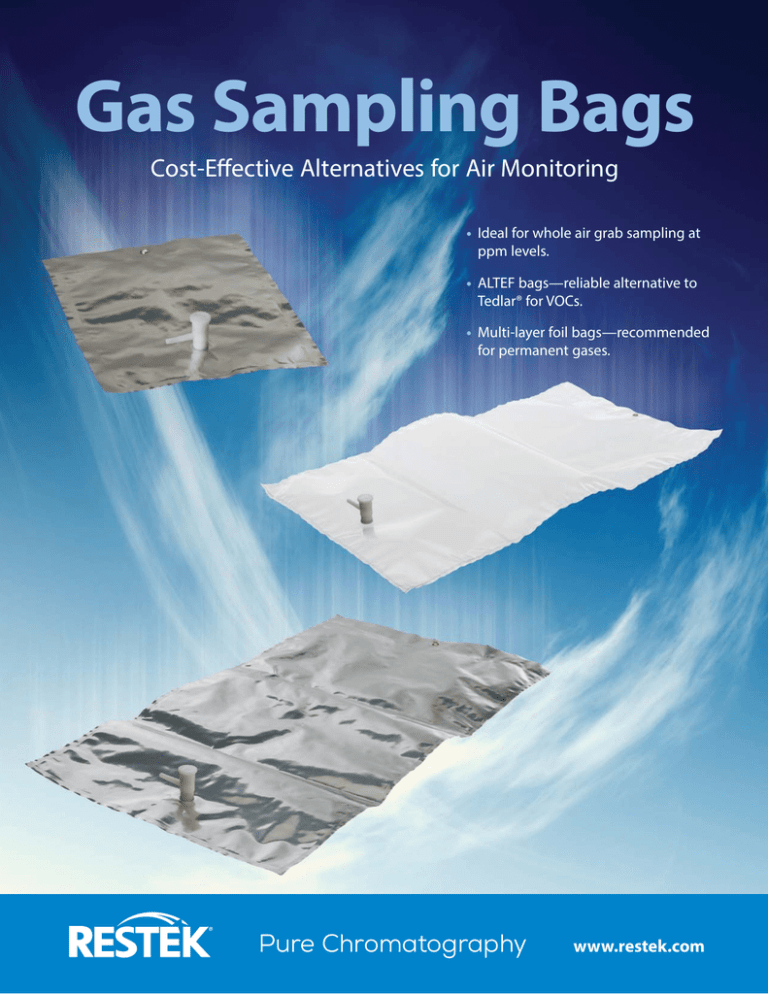 Gas Sampling Bags CostEffective Alternatives for Air