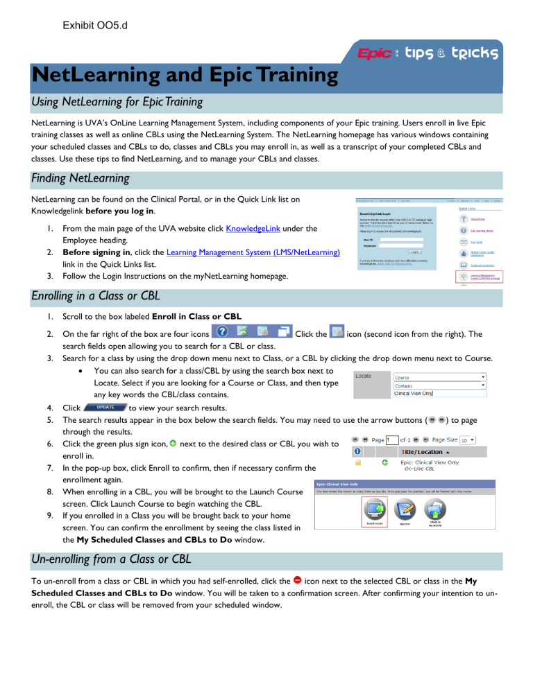 NetLearning and Epic Training Using NetLearning for Epic Training