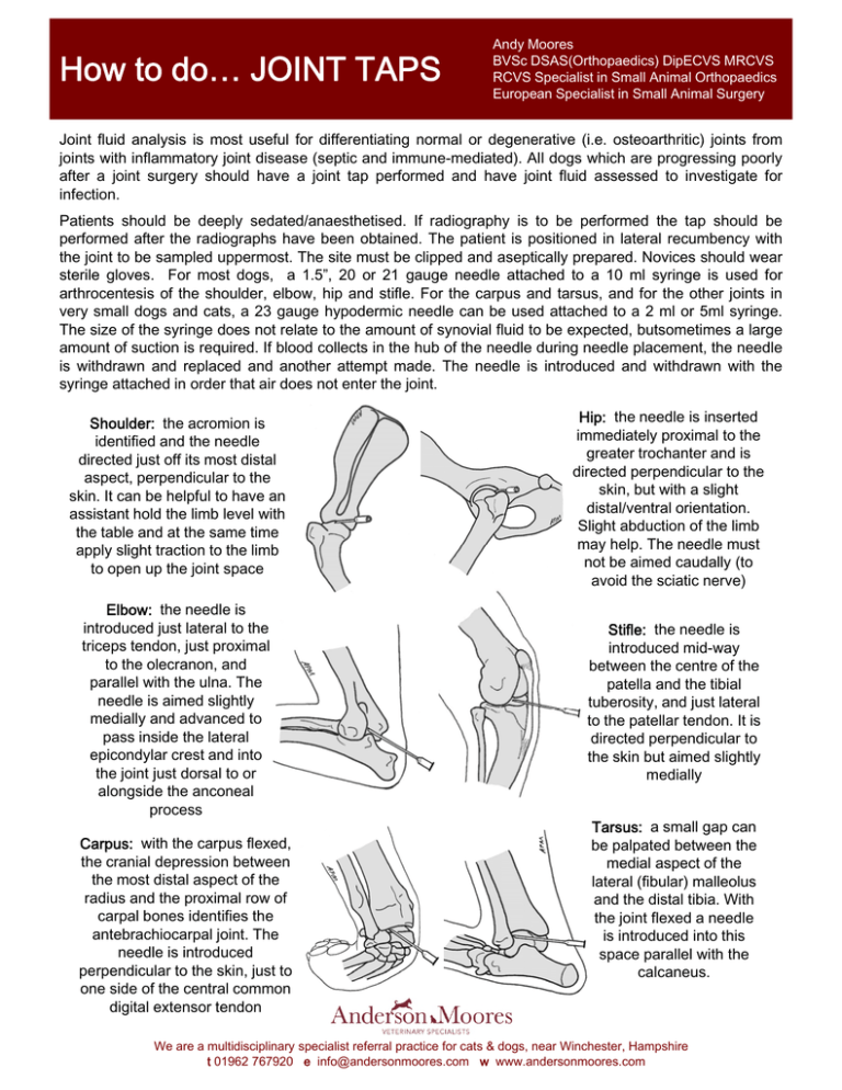 How to do… JOINT TAPS Anderson Moores Veterinary Specialists