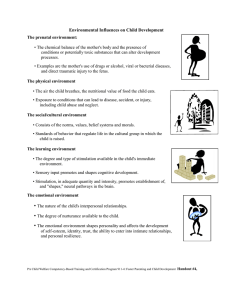 Child Development: Environmental Influences