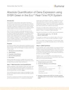 Absolute Quantification of Gene Expression using SYBR