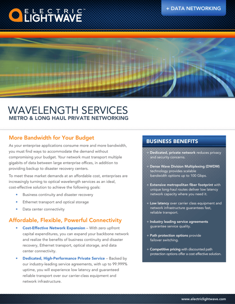 wavelength services Electric Lightwave