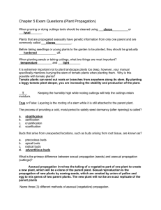 Plant Propagation Exam Questions