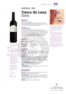Tierra de Luna Tinto