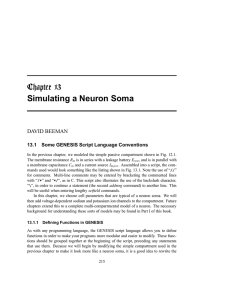 Simulating a Neuron Soma