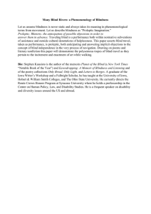 Many Blind Rivers: a Phenomenology of Blindness Let us assume