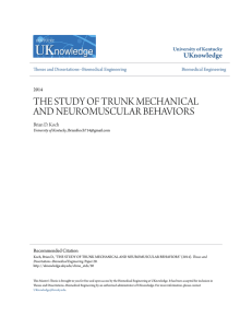 the study of trunk mechanical and neuromuscular