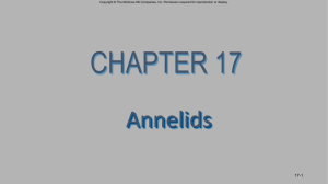 Chapter 17 Part 1