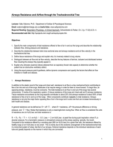 Airways Resistance and Airflow through the