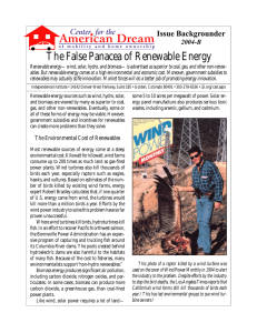 The False Panacea of Renewable Energy