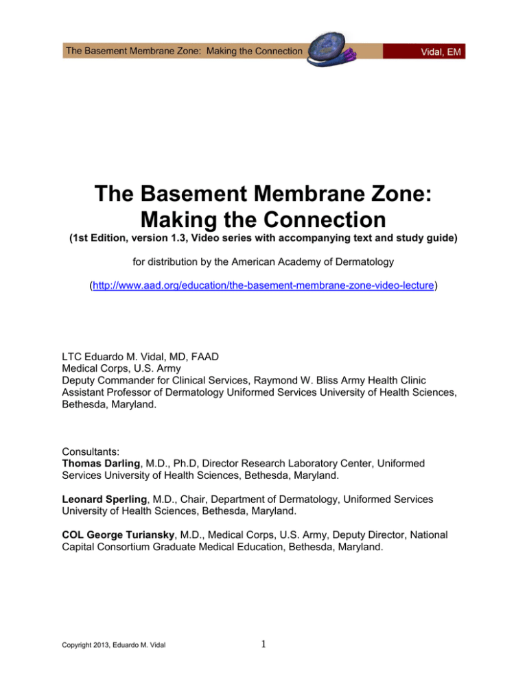 the-basement-membrane-zone-making-the-connection