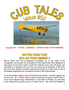 Florida Cub Flyers newsletter, December 2013