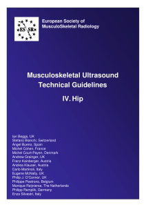 Musculoskeletal Ultrasound Technical Guidelines IV. Hip