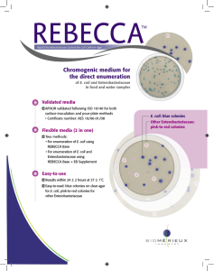 REBECCA Brochure