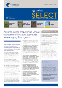 Autumn cover crop/spring wheat sequence offers new