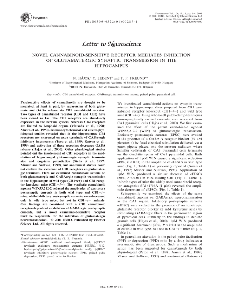 motivation letter neuroscience phd